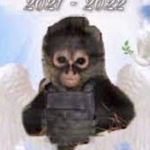 Meet your Posher, Jaylen